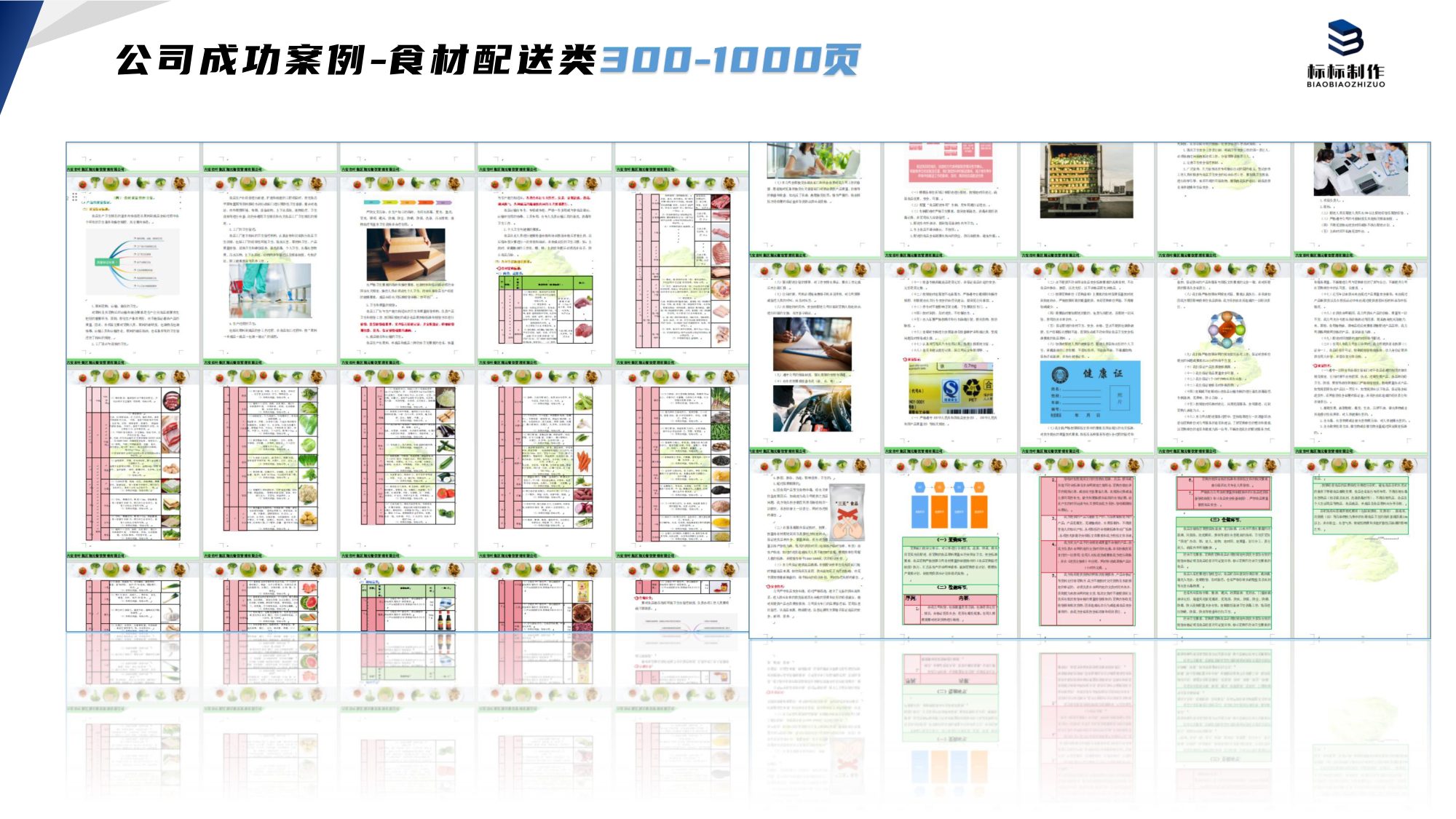 食材配送标书制作案例成品实拍